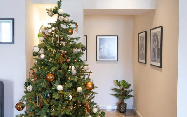 Eldoris Boutique Living