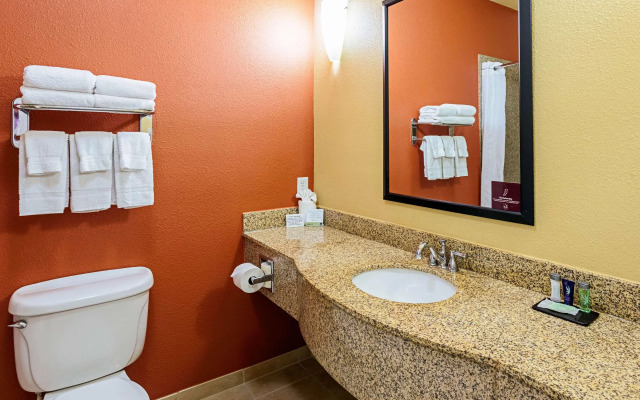 Sleep Inn & Suites Tyler South