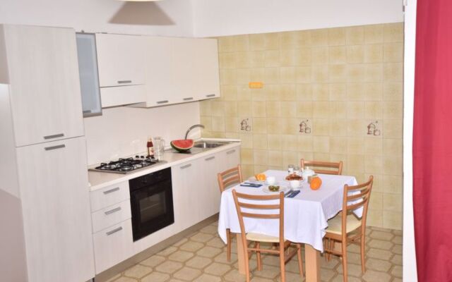 Green Marine, Palme, Ismare 22279