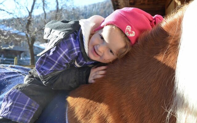 Inviting Apartment in Auffach Wildschönau near Ski Area