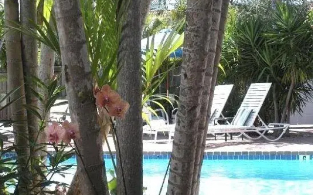 Las Olas Guesthouse @ 15th Avenue