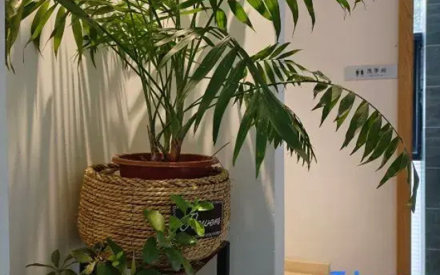 Yiming Book House Leisure & Vacation Homestay (JiaXian guangkuotiandi store)