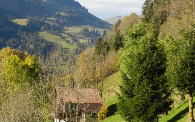 Waldruhe