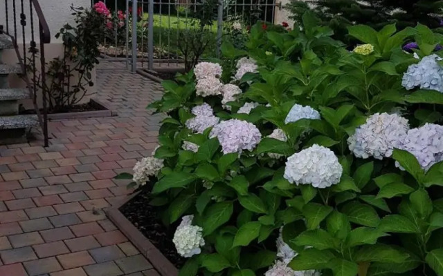 Ferienwohnung Grimma