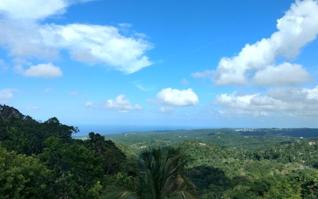 The Lion House Jamaica