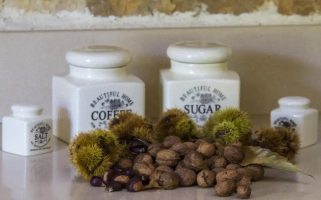 Apartamentos Baolafuente