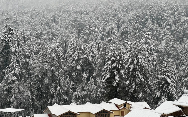 Blue star homestay kasol