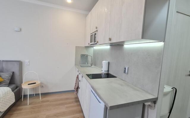 The Loft Studio Moscow in the Belaya Dacha neighborhood