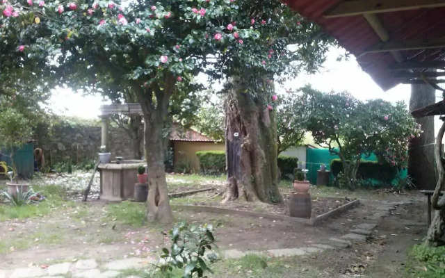 Albergue Roots & Boots