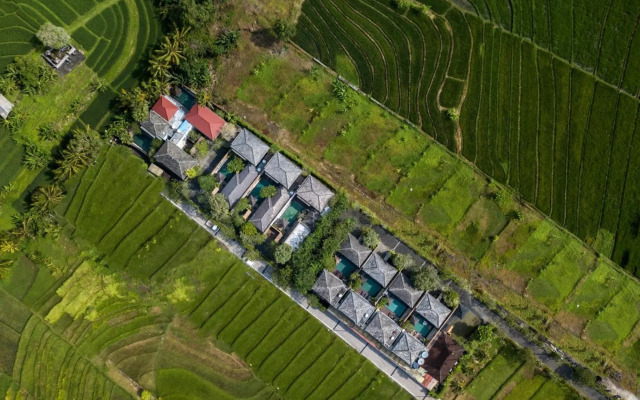 Royal Nyanyi Villa