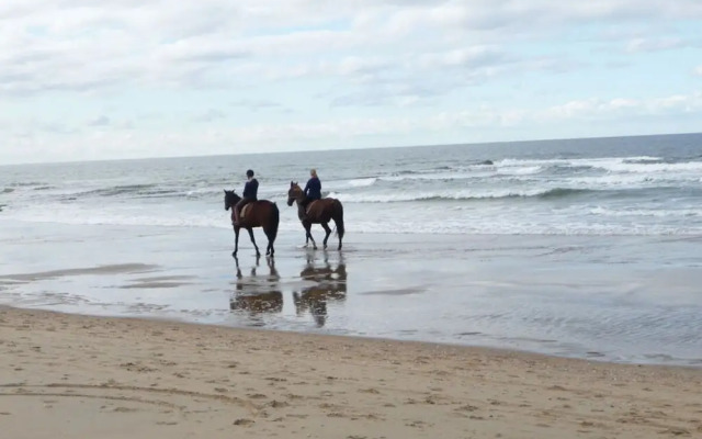 Villa Seewind Comfortable Holiday Residence