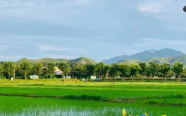 Anji Zhuyinjia Homestay