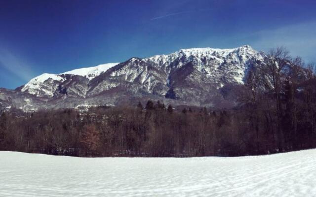 Appartement de charme, atypique - 1 chambre - 4 personnes