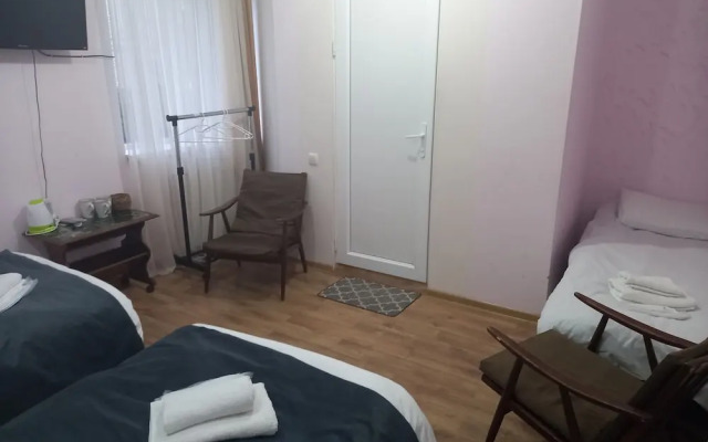 Hotel David