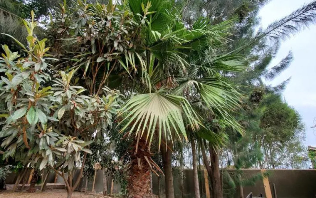 Palm Nest - Near JKIA