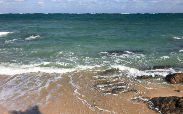 Old American House K-113