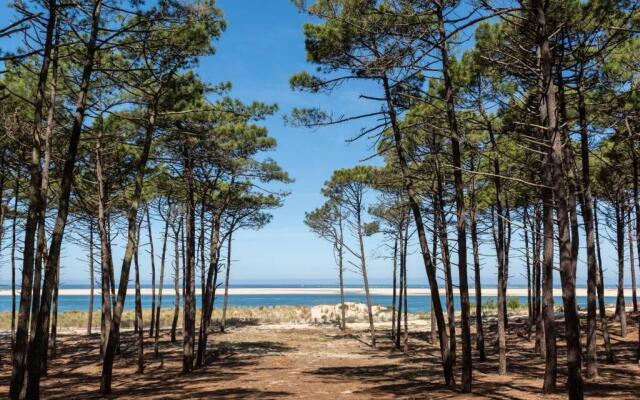 Les pignots Logement T2 Bassin Arcachon