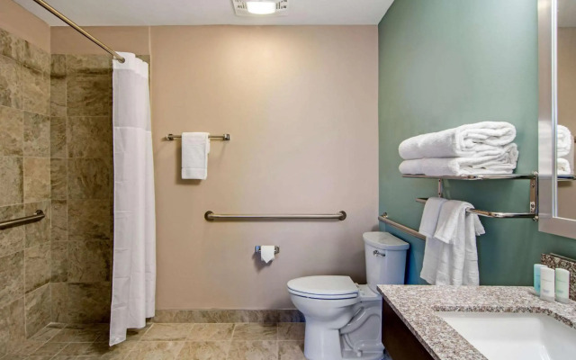 Clarion Inn & Suites Atlanta Downtown