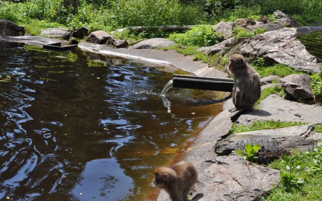 Kärnten Appartements