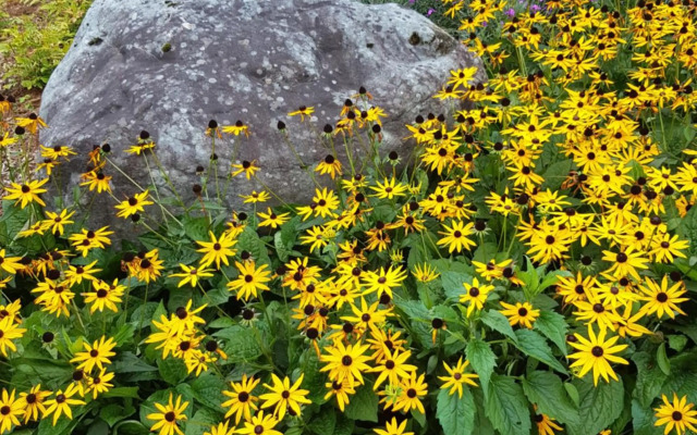 The Courtyard Apartments !!!!