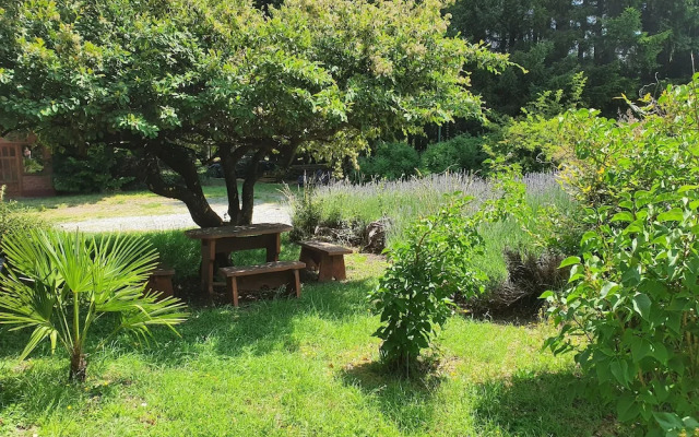 Tu Apart en Bariloche XVI