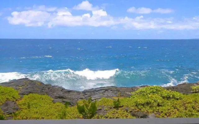 Hilo Whale House