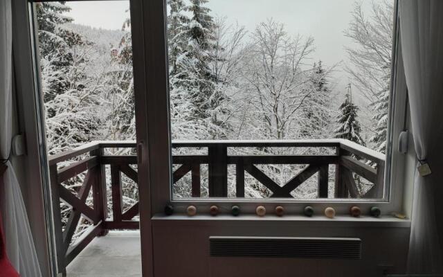 Apartmani Šišarka 1