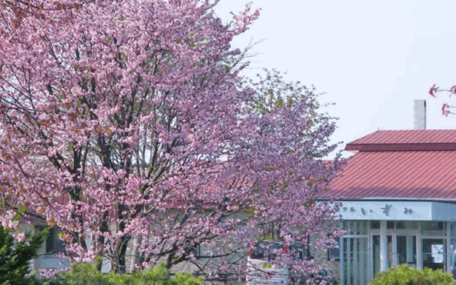 Kojohama Onsen Hotel Izumi