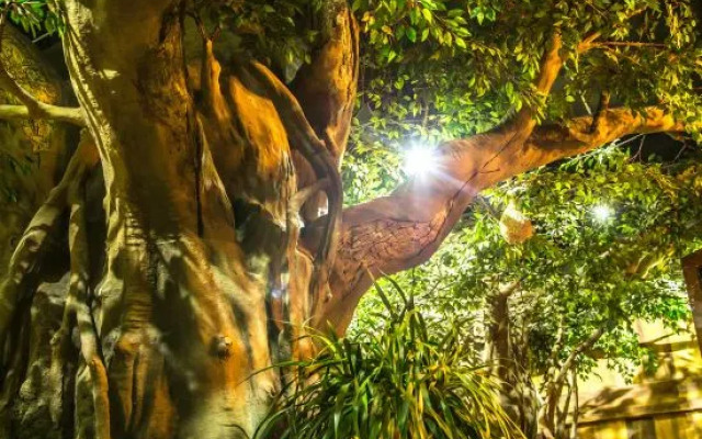 Muchun Inn (Xishuangbanna Poshui Square)