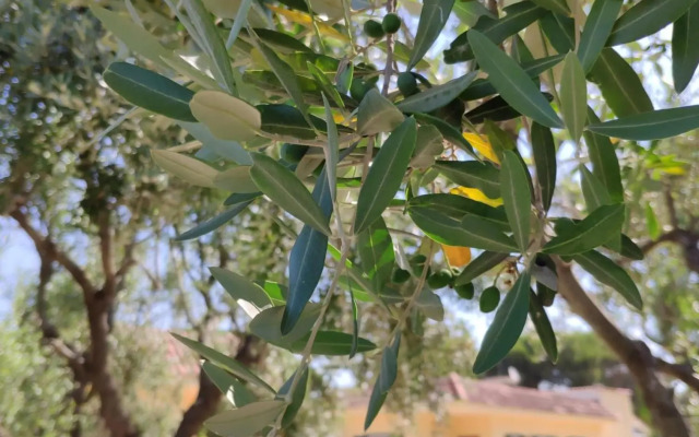 Realis Villa Gandoli Pool&BBQ - Adults only"16th"