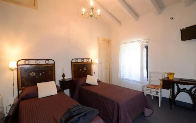 Il Tanaceto