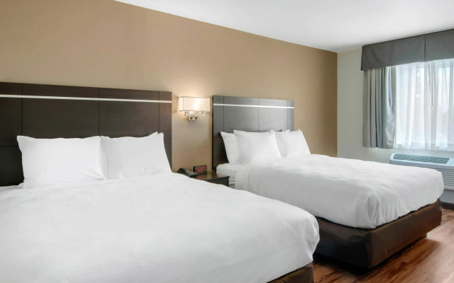 Econo Lodge Inn & Suites Springfield Main Street