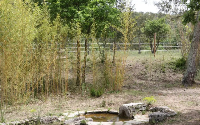 Villa Villekulla dépendance avec spa privatif