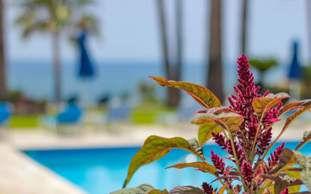 Rododafni Beach Apartments