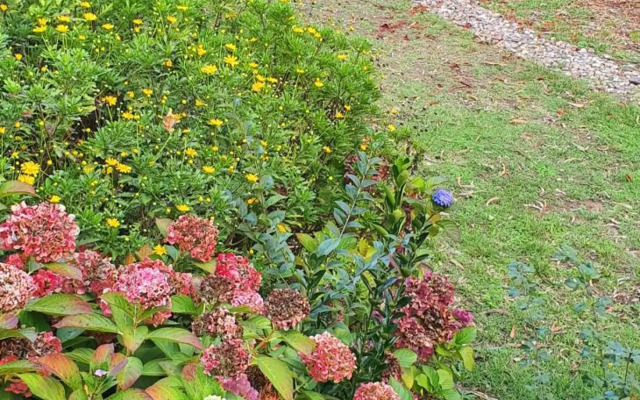 VIVER D'AMOR Oporto Douro River Flat