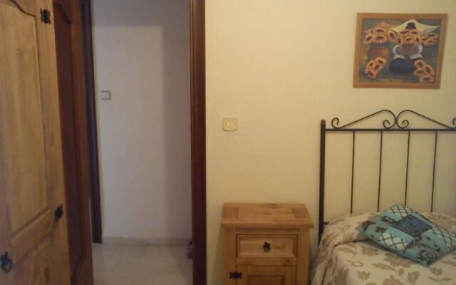 Apartment in Malaga 100580