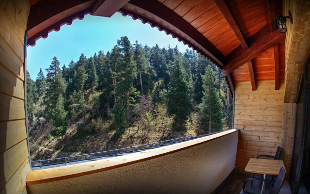 Hot Springs Medical and Spa Hotel