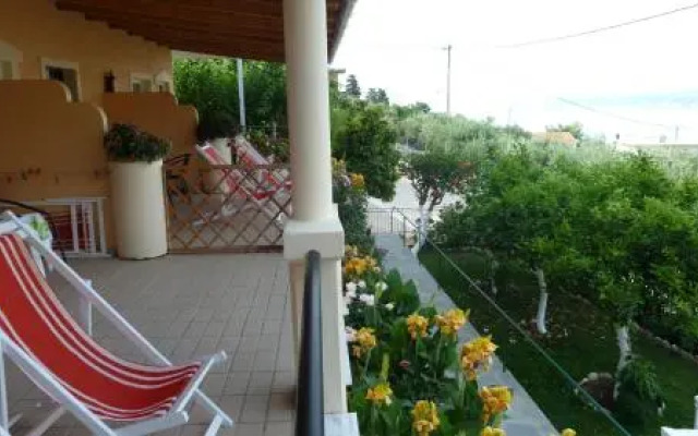 Anna Studios