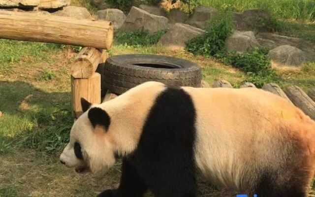 Hangzhou Fuyang Yaoyue International Hotel (Enbo Avenue)