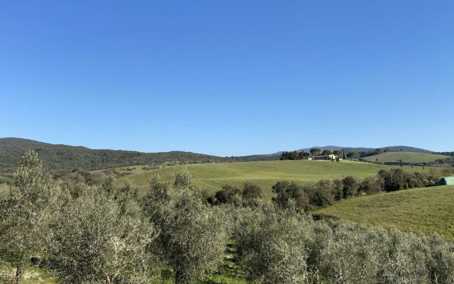 Il Fienile Bibbona in Bibbona