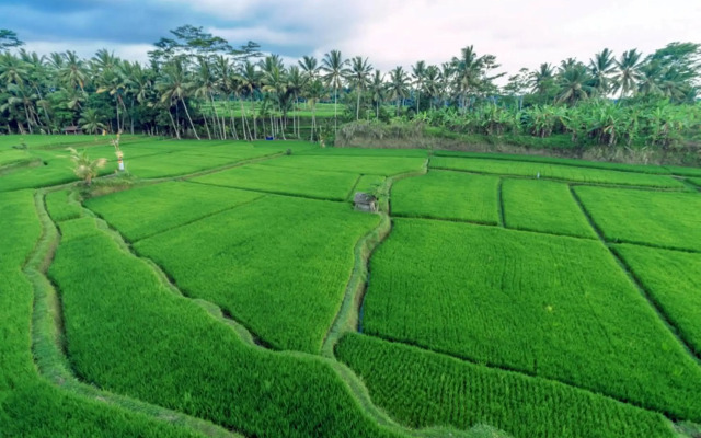 Om Ham Retreat and Resort