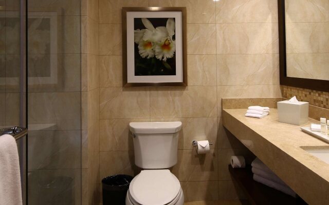 Hilton Garden Inn Cusco