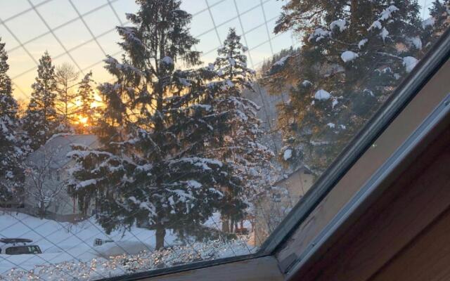 Swiss Chalet - Vacation STAY 11450v