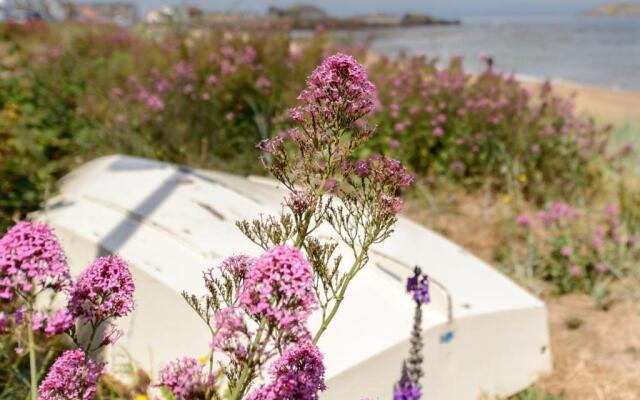 Driftwood