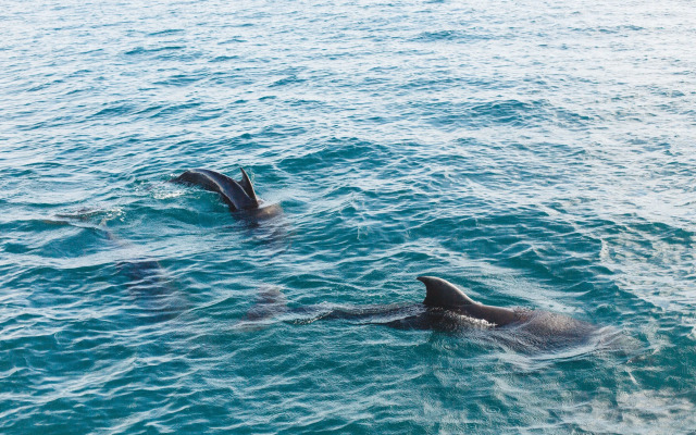 Kitelantis Hotel and Resort