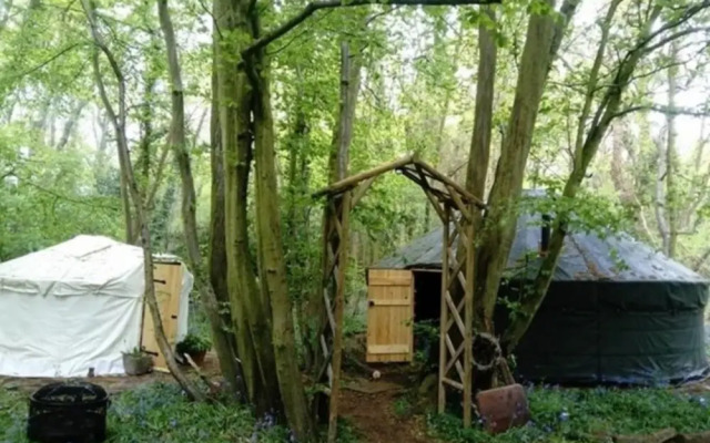 Ancient Woodland Retreat