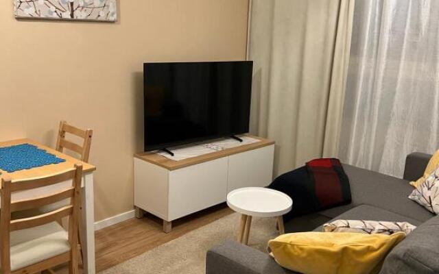Cozy centre apartament Kuopio