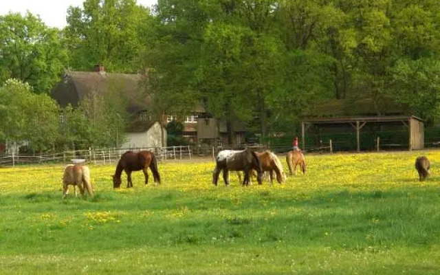 Ferienwohnungen Wulfshof