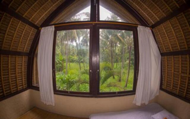 Pacha Hostel
