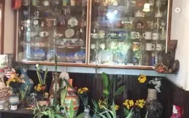 Vertical Garden Hostel